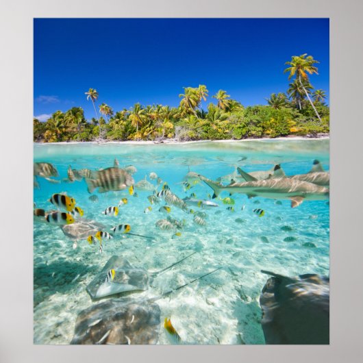 Exotische Ferien Poster (Vorne)