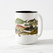 Exotische Fische, farbig Zweifarbige Tasse (VorderseiteRechts)