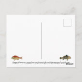 Exotische Fischerei im tropischen Fischfang Postkarte (Rückseite)