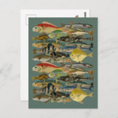 Exotische Fischerei im tropischen Fischfang Postkarte (Vorne/Hinten)