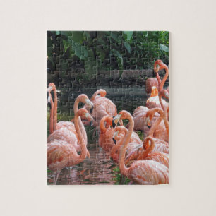 Exotische Flamingos Puzzle
