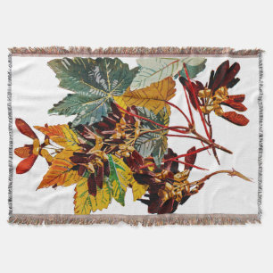 Exotische Flora #3 bei Sunshine Dazzle Decke