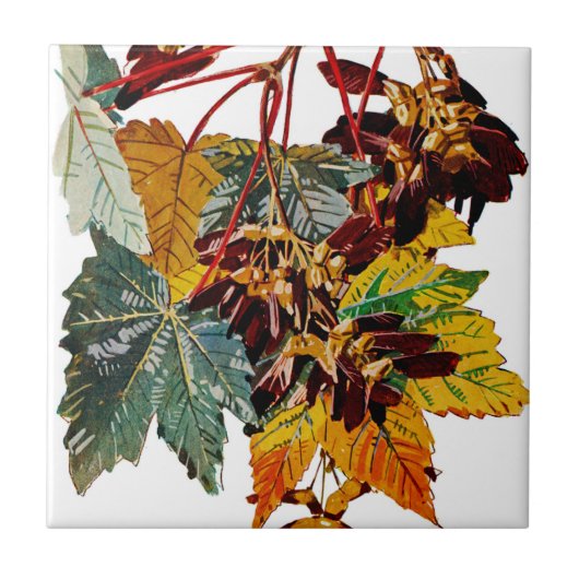 Exotische Flora #3 bei Sunshine Dazzle Fliese (Vorderseite)