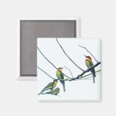 Exotische indische Kerala-Eater-Vögel auf Zweig Magnet (Vorderseite/Rückseite)