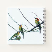 Exotische indische Kerala-Eater-Vögel auf Zweig Notizblock (Rückseite)