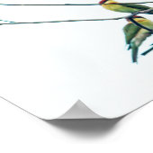 Exotische indische Kerala-Eater-Vögel auf Zweig Poster (Ecke)