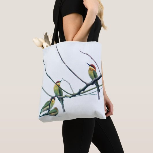 Exotische indische Kerala-Eater-Vögel auf Zweig Tasche (Von Nahem)