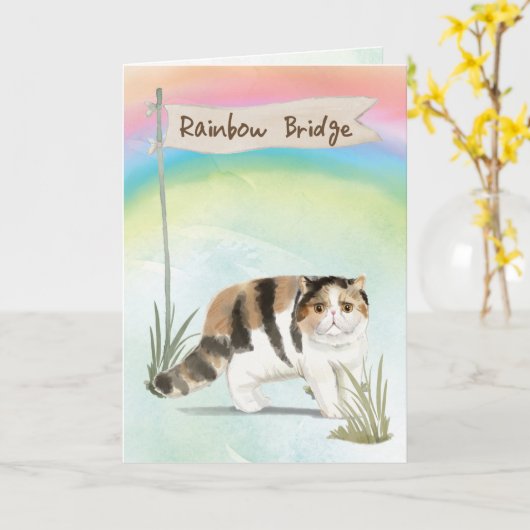 Exotische Kurze Haarkatze Beileid über Regenbogen Karte (Gelbe Blume)