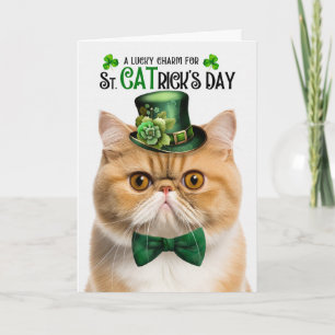 Exotische Kurzhaar Katze St CATrick's Day Lucky Ch Feiertagskarte