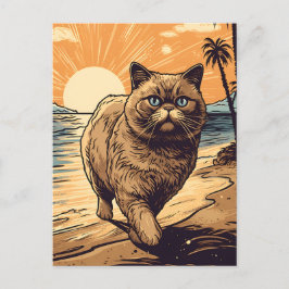 Exotische Kurzhaarkatze an einem tropischen Strand Postkarte