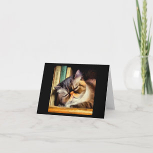 Exotische Kurzhaarkatze Karte
