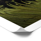 Exotische Landschaft Poster (Ecke)