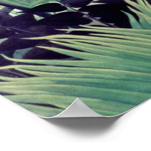 Exotische Landschaft Poster (Ecke)