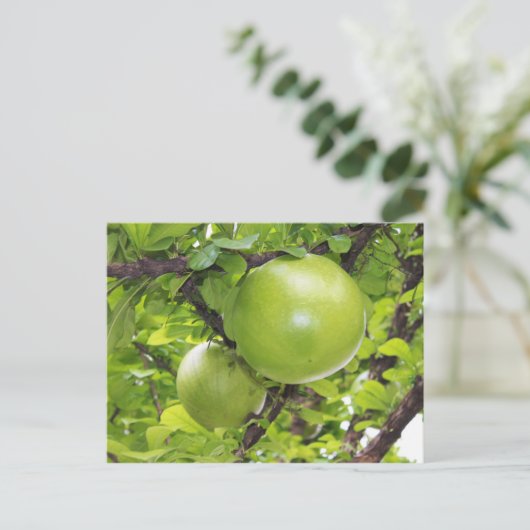Exotische Maja-Früchte Postkarte (Stehend Vorderseite)