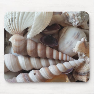 Exotische Muscheln Sammlung, Sommer-Strand-Leben Mousepad