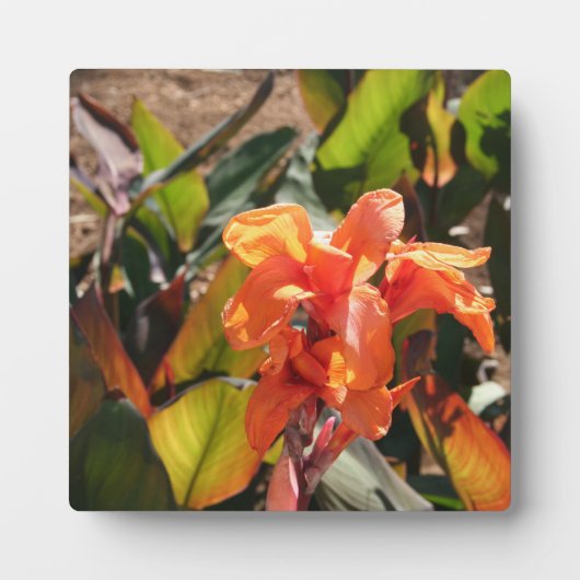 Exotische orangefarbene Blume Fotoplatte (Vorderseite)