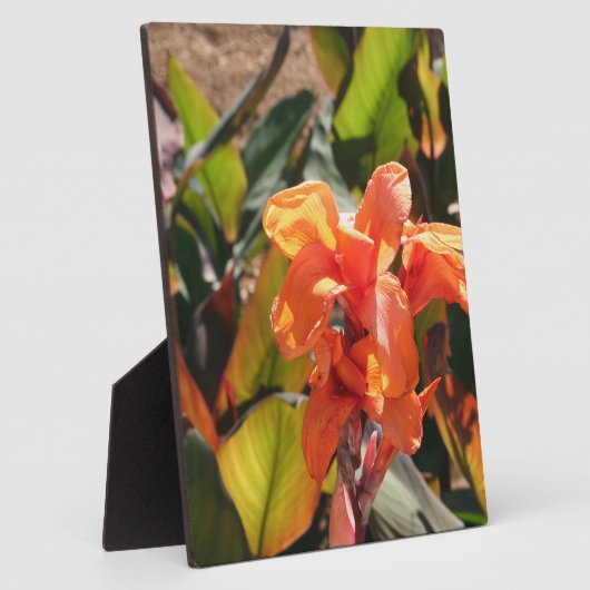 Exotische orangefarbene Blume Fotoplatte (Seite)