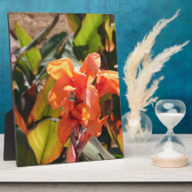 Exotische orangefarbene Blume