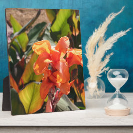 Exotische orangefarbene Blume Fotoplatte