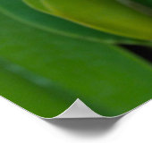 Exotische Orchidee in Gelb- und Rosatönen Poster (Ecke)