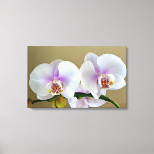 Exotische Orchideen-Fotografie auf Leinwand-Kunst Leinwanddruck