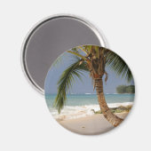 exotische Palmen am Strand Magnet (Vorderseite/Rückseite)