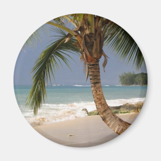 exotische Palmen am Strand Magnet (Vorne)