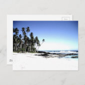 Exotische Palmen & Paradise Strand Postkarte (Vorne/Hinten)