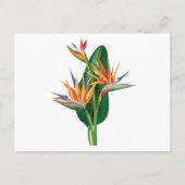 exotische paradiesische Blume Postkarte (Vorderseite)