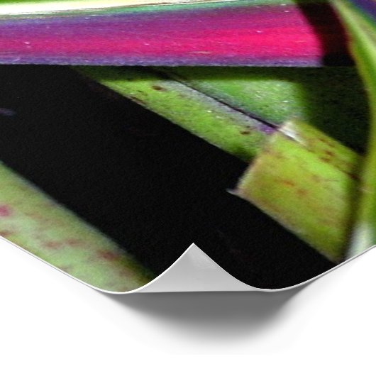 Exotische Pflanze (1) Poster (Ecke)