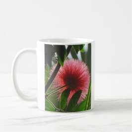 exotische rote Blume, Makro-Foto - Tee-Kaffee-Tass Kaffeetasse