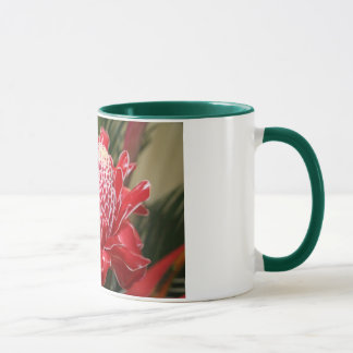 Exotische rote Fackelingwer-Blumenschale! Tasse