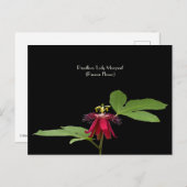 Exotische rote Passion-Blume-Sammelkarte Postkarte (Vorne/Hinten)