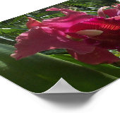 Exotische Schönheit (2) Poster (Ecke)