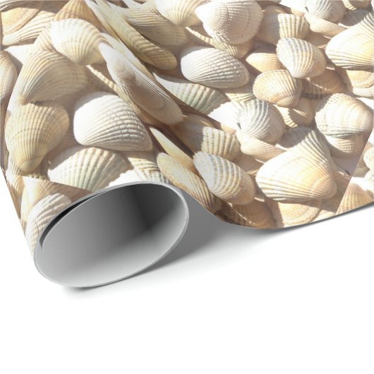 Exotische tropische Muscheln Sommerstrand Thema Geschenkpapier (Rolleneckpunkt)