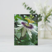 Exotische tropische Passionsfrucht-Blume Postkarte (Stehend Vorderseite)
