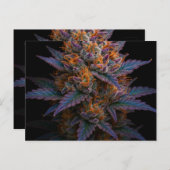 Exotische Unkraut Postkarte (Vorne/Hinten)