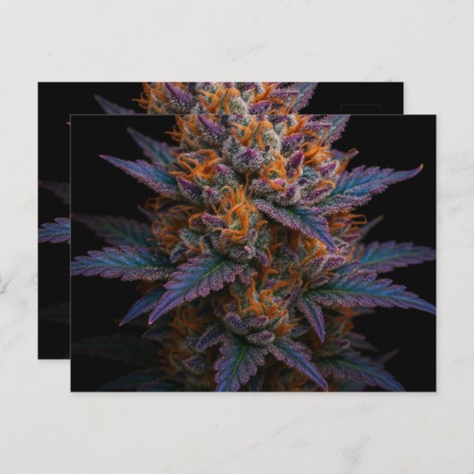 Exotische Unkraut Postkarte (Vorne/Hinten)