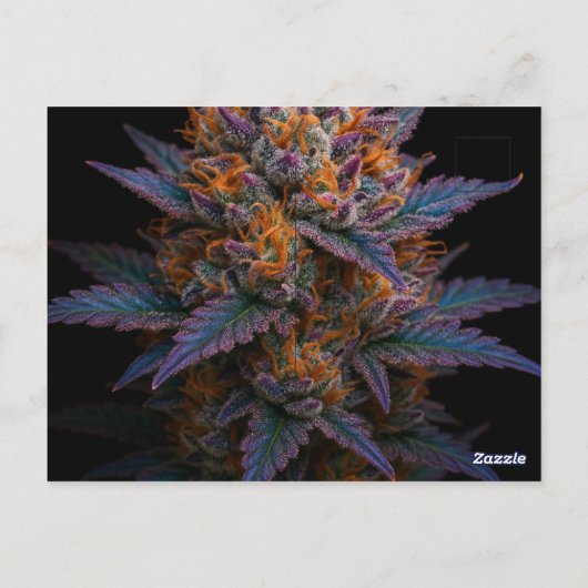 Exotische Unkraut Postkarte (Rückseite)