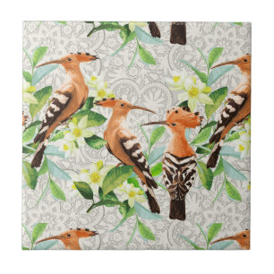Exotische Vögel auf Spitze Fliese