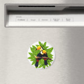 Exotische Vögel Magnet (In Situ (Geschirrspüler))