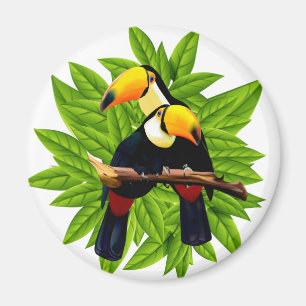 Exotische Vögel Magnet