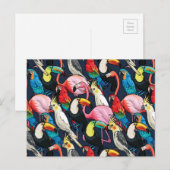 Exotische Vögel Postkarte (Vorne/Hinten)