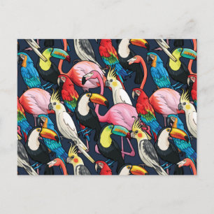 Exotische Vögel Postkarte
