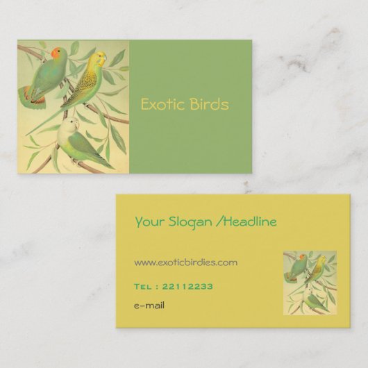 exotische Vögel Visitenkarte (Vorne/Hinten)