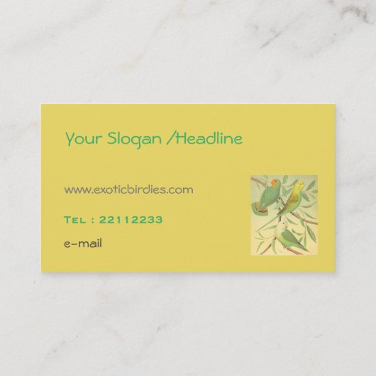 exotische Vögel Visitenkarte (Rückseite)