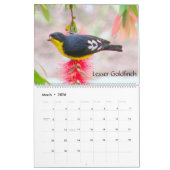 Exotische Vögel von Südamerika-Kalender 2014 Kalender (Mär 2026)