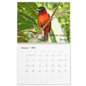 Exotische Vögel von Südamerika-Kalender Kalender (Feb 2026)