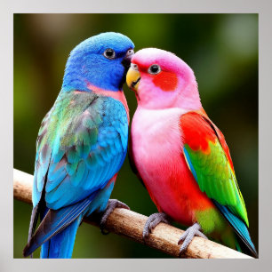 Exotische Vögel ✨Zusammen sitzend Geschenk für Pa Poster