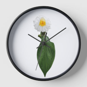 Exotische weiße tropische Blumen-Botanik-Wanduhr Uhr